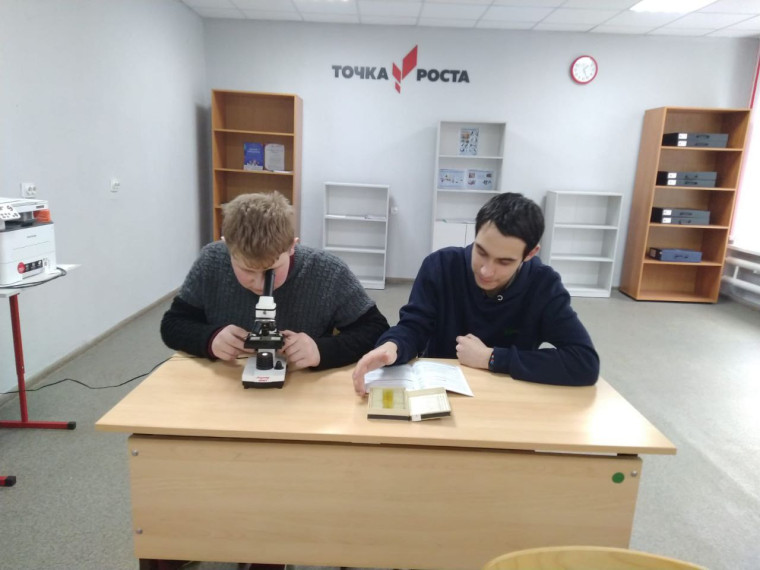 «Мини-исследование «Микромир»..
